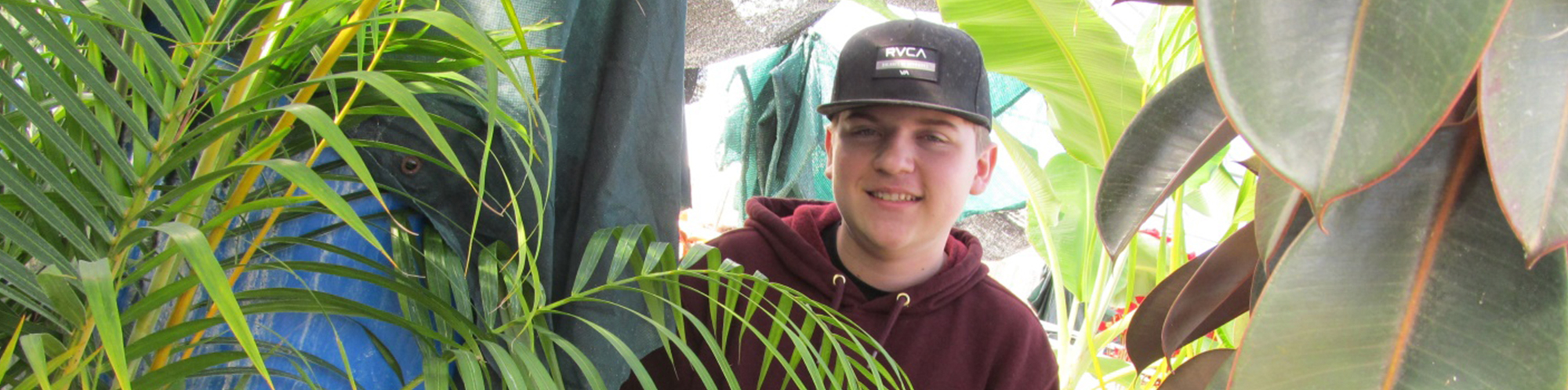 Male student surrounded by plants