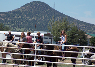 Students riding horses